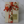 15-pc Fall Bow Box