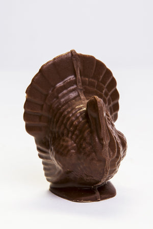 Chocolate Turkey