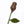 Milk Chocolate Long-stemmed Rose