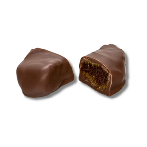 Chocolate Covered Apricots