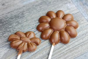 Milk Chocolate Daisy Sucker