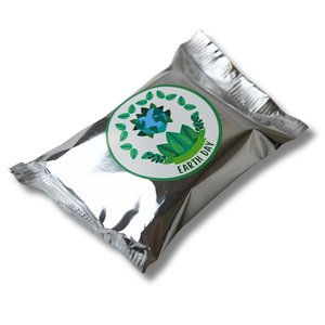 Earth Day Smoothie Bar