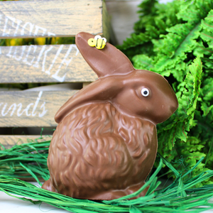 Harry Bunny PICKUP ONLY