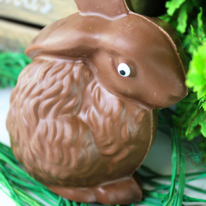 Harry Bunny PICKUP ONLY