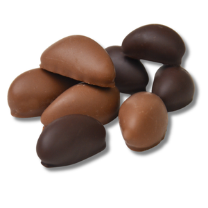 Chocolate-Covered Brazil Nuts