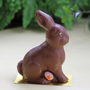 Theo Bunny PICKUP ONLY