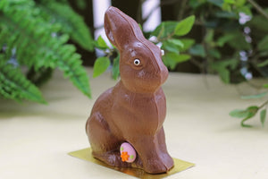 Theo Bunny PICKUP ONLY