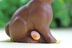 Theo Bunny PICKUP ONLY