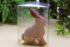 Theo Bunny PICKUP ONLY