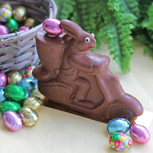 Miles, the Scooter Bunny