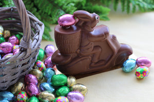 Miles, the Scooter Bunny