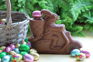 Miles, the Scooter Bunny