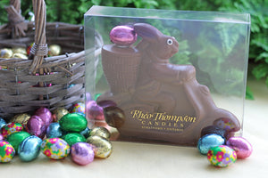 Miles, the Scooter Bunny