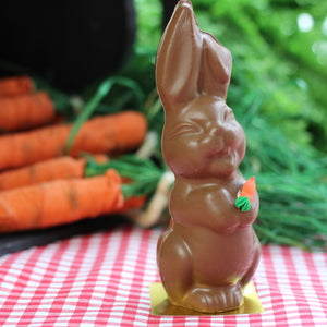 Singing Bunny PICKUP ONLY