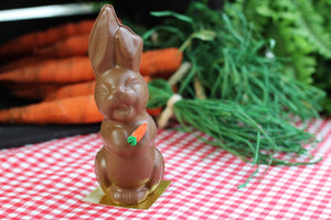 Singing Bunny PICKUP ONLY