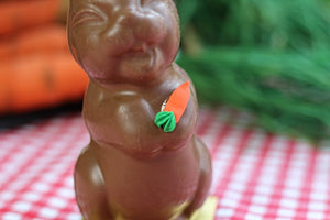 Singing Bunny PICKUP ONLY