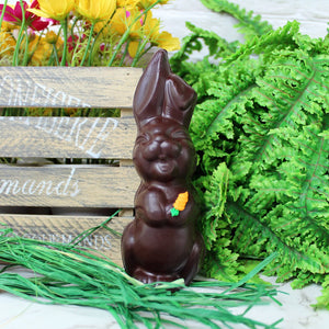 Singing Bunny PICKUP ONLY