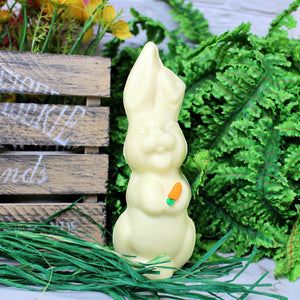 Singing Bunny PICKUP ONLY