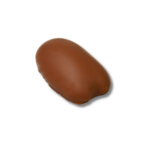 Chocolate-Covered Pecans