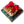 Small Classic Christmas Nut Set