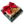 Small Classic Christmas Nut Set