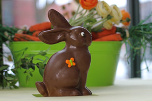 Delilah Bunny PICKUP ONLY