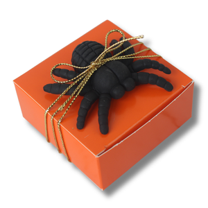 4-pc Spider Eraser Box