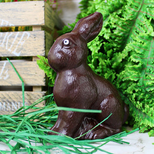 Theo Bunny PICKUP ONLY