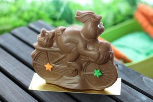 T.J. Bike Bunny PICKUP ONLY