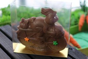 T.J. Bike Bunny PICKUP ONLY