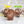 Chocolate Turkey