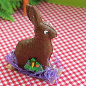 The Easter Bunny Visit - Rheo Thompson Candies