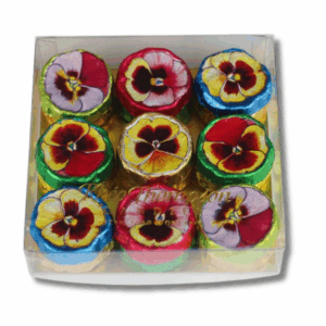 Pansy Collection