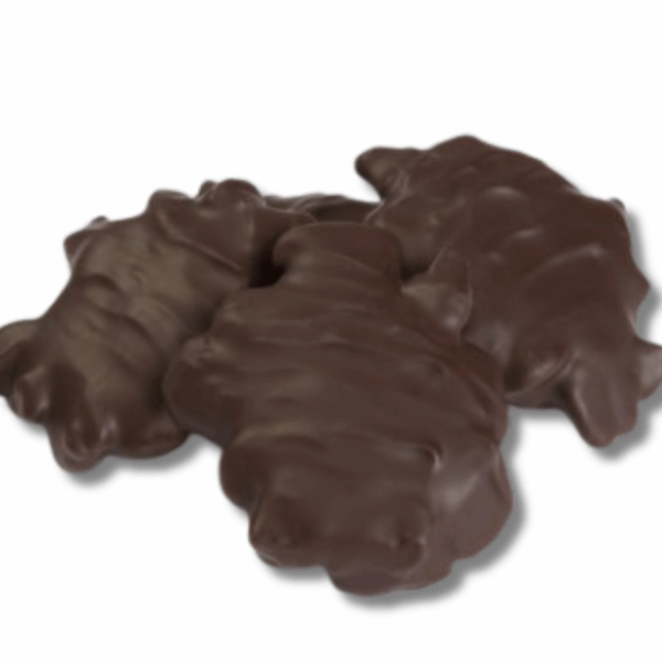 Chocolate Pecan Patties