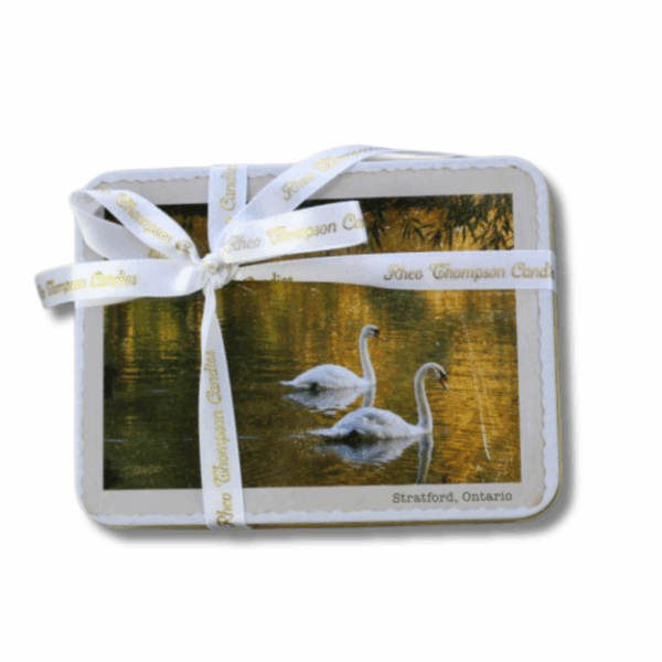 Small Swans Tin